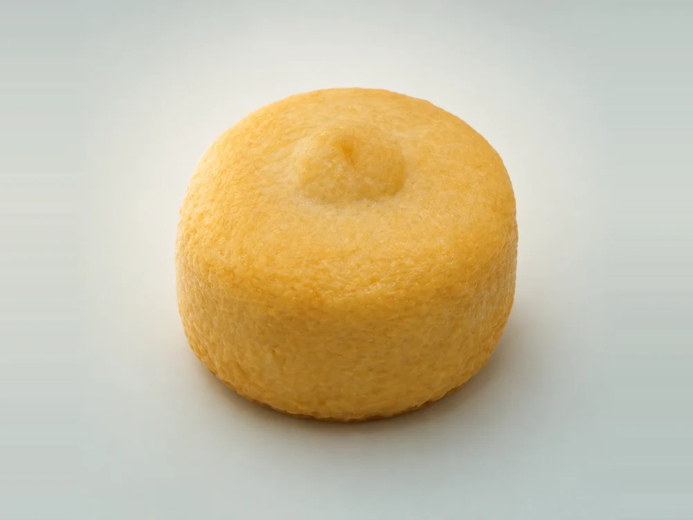 Tofu Cheese